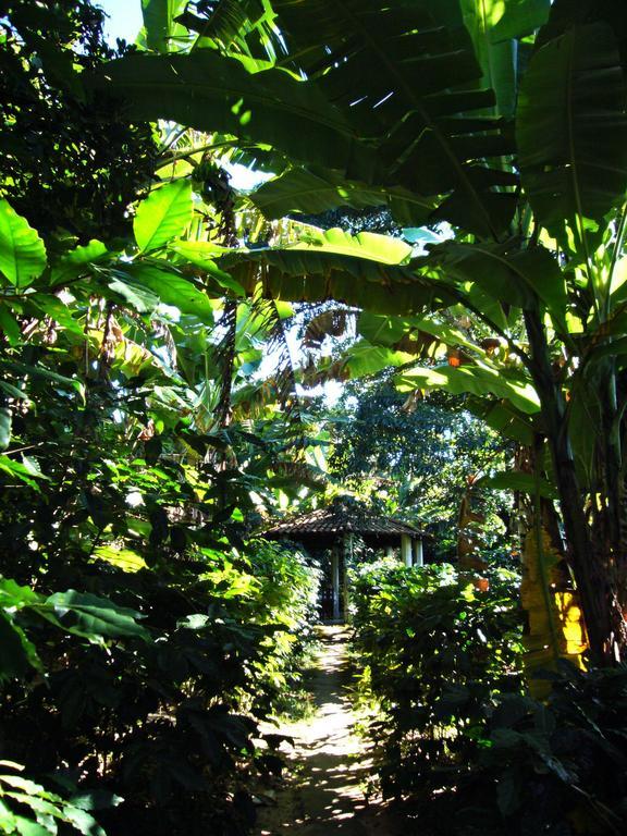 Chales Sitio Do Alemao Ubajara Exterior foto