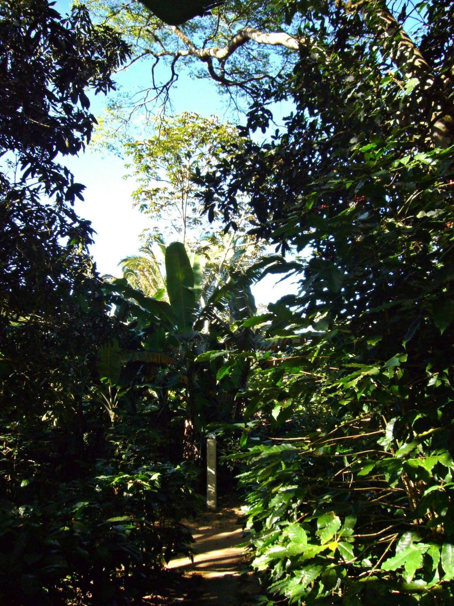 Chales Sitio Do Alemao Ubajara Exterior foto