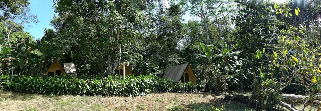 Chales Sitio Do Alemao Ubajara Exterior foto